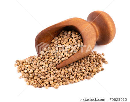 Hemp seeds isolated on white background. Dry seeds of cannabis, hemp or marijuana in wooden scoop. 70623910