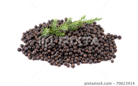 Dry juniper berries with green branch, isolated on white background. Common Juniper fruits. 70623914