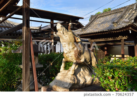 京都Marishisontendo的Komaya 70624357