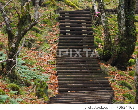 Mt. Hakkyo / Mt. Misen mountain trail 70624465