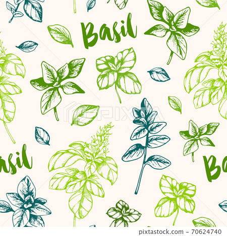 Vintage seamless pattern with green basil Vintage seamless pattern with green basil 70624740