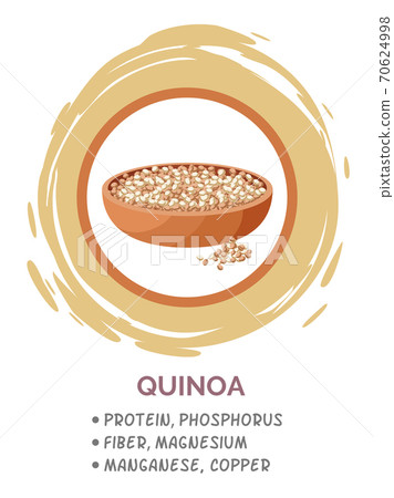 Quinoa grains in bowl, useful products when breastfeeding child. Flat vector logo image on white 70624998