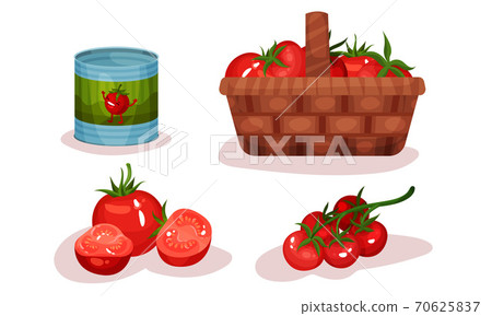 Tomatoes Gathered in Basket and in Can Vector Set 70625837