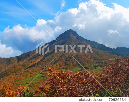 Autumnal leaves Rishiri Fuji 70626284