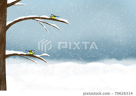 Titmouses Sit on Snow Covered Branches 70626314