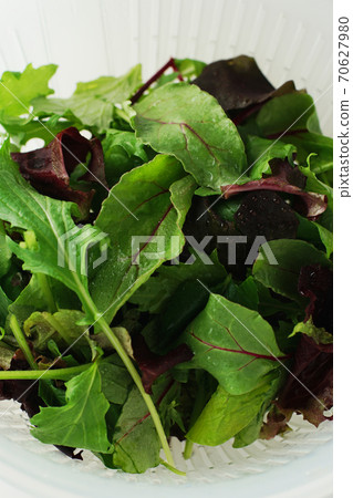 Washed mixed leaf Washed mixed leaf 70627980