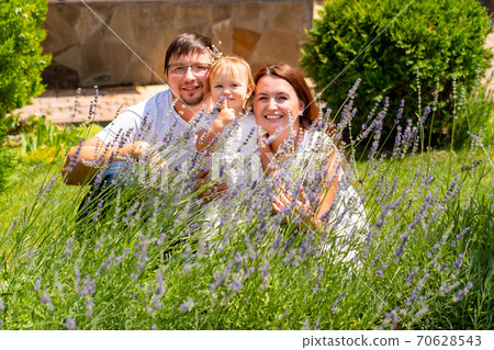 family sitting on lawn near bushes of lavender. family sitting on lawn near bushes of lavender. 70628543