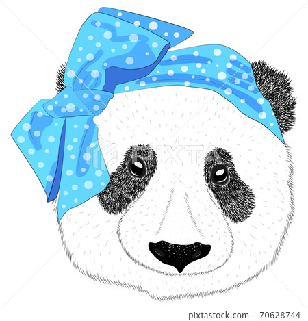 A hand drawn illustration of the head of a panda girl with a bow in the style of the 60s. Isolated cute fashion portrait 70628744