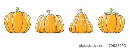 vector graphic orange pumpkins set isolated on white horizontal banner background. Cartoon hand drawn pumpkins collection for autumn ,Halloween and Thanksgiving day poster and banner design 70628935