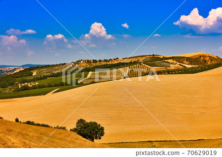 Orcia valley landscape Tuscany landscape Italy landmark 70629019