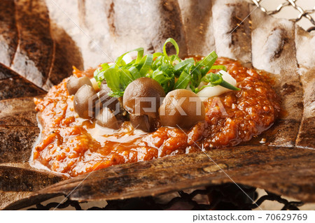 味iso公園的蘑菇葉 味iso公園的蘑菇葉 70629769