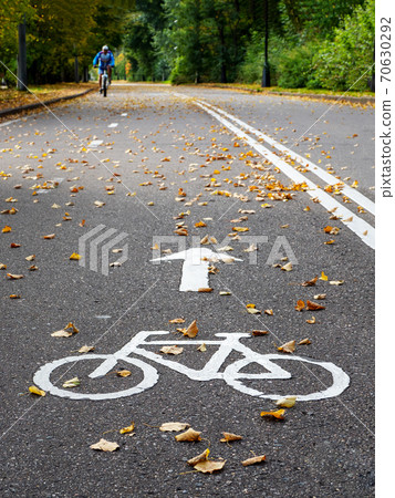 Bike path in autumn. Marking on the asphalt. Bike path in autumn. Marking on the asphalt. 70630292