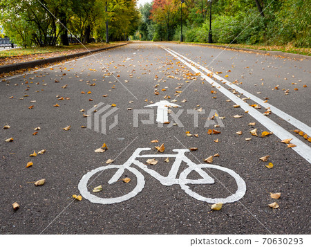 Bike path in autumn. Marking on the asphalt. Bike path in autumn. Marking on the asphalt. 70630293