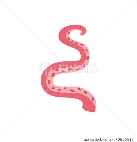 Serpentine tentacle of sea octopus or squid, flat vector illustration isolated. 70630512