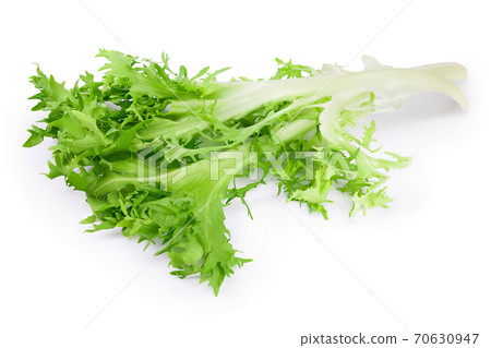 Fresh green leaves of endive frisee chicory salad isolated on white background with clipping path and full depth of field Fresh green leaves of endive frisee chicory salad isolated on white background with clipping path and full depth of field 70630947