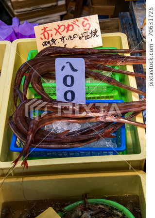 oshi子漁港在魚市場上出售的紅八仙花 oshi子漁港在魚市場上出售的紅八仙花 70631728