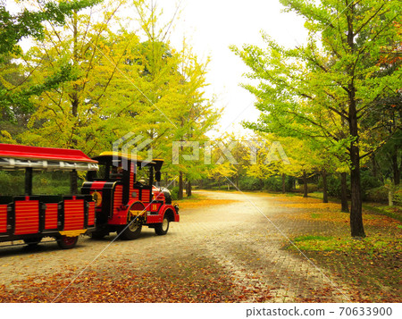繆斯公園銀杏納米木 70633900