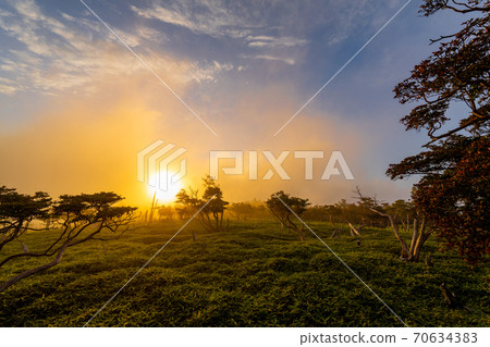 大平原的薄霧 大平原的薄霧 70634383