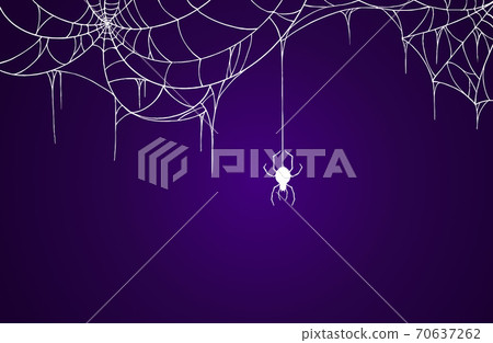 Spiderwebs hanging on purple background, halloween banner isolated on night background texture, vector illustration. 70637262