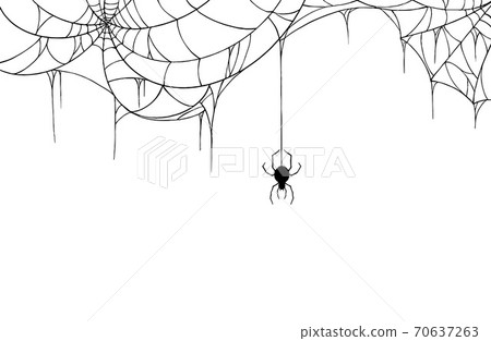 Spider  hanging from spiderwebs on white   background, Hallowed banner isolated on night background texture, vector illustration. 70637263