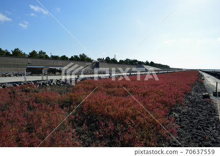 Shichimensou 2 Shichimensou 2 70637559