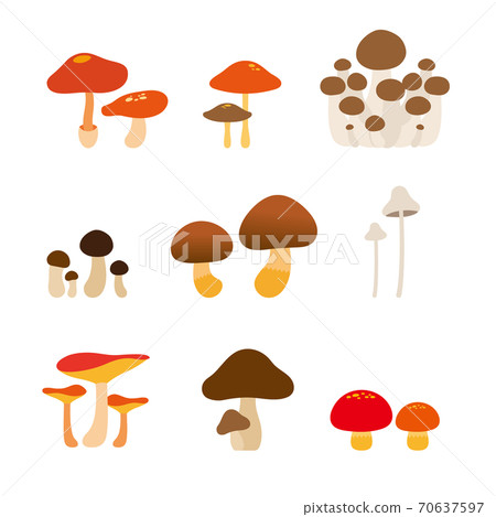 Mushroom illustration set 70637597