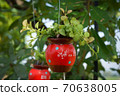 red ceramic bells hanging on a string 70638005