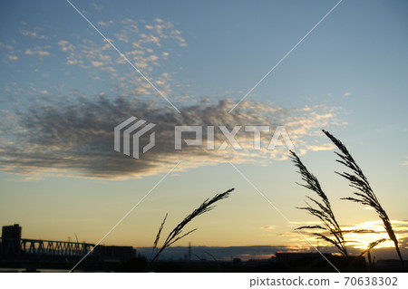 傍晚的天空 傍晚的天空 70638302