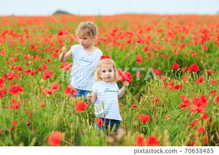 Beautiful children picking flowers in poppy field 70638485