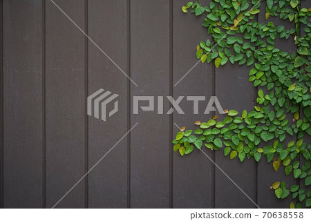 Wood and leaf texture background Wood and leaf texture background 70638558