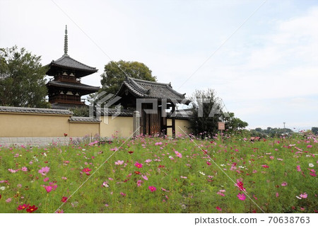 蓮花領域和宇宙領域 70638763