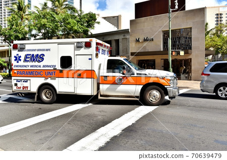 夏威夷的假期 70639479