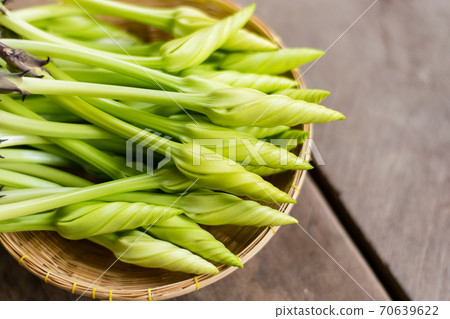 Moonflower (Ipomoea alba L.) Herb Vegetables 70639622