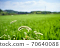 Close-up of a rural landscape 70640088