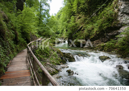 Beautiful view of mountain river, sun light through the trees, traveling in Slovenia, Holidays in Europe. Selective focus. Beautiful view of mountain river, sun light through the trees, traveling in Slovenia, Holidays in Europe. Selective focus. 70641350