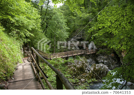 Vintgar gorge, beauty of nature, river Radovna through mountains,Bled, Slovenia Vintgar gorge, beauty of nature, river Radovna through mountains,Bled, Slovenia 70641353