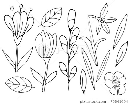 Easter flowers, set of line drawing, floral and botanical,doodle style. Easter flowers, set of line drawing, floral and botanical,doodle style. 70641694