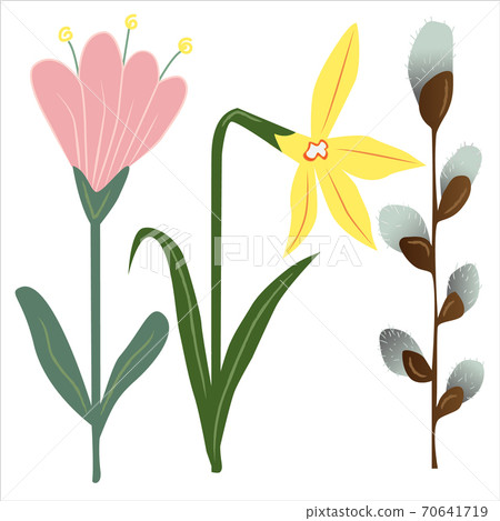 Vector collection of isolated spring flowers on white. Various elements for easter season floral design. Floral elements. Vector collection of isolated spring flowers on white. Various elements for easter season floral design. Floral elements. 70641719