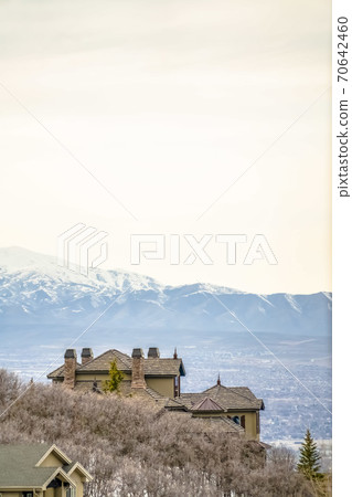 Homes and brown leafless trees on a hill blanketed with snow during winter 70642460