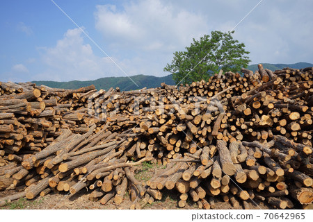 Timber yard Timber yard 70642965