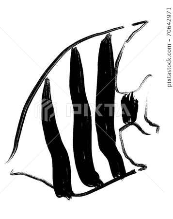 Fish illustration 70642971