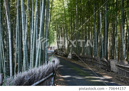 Asahi Park monument in early autumn Bamboo grove road 70644157