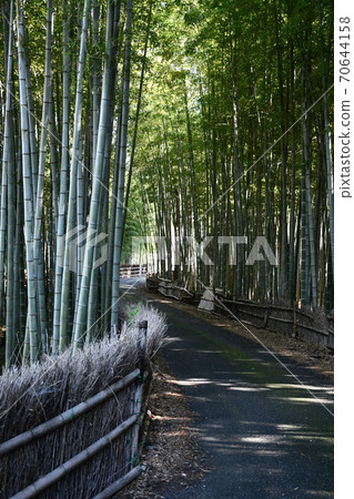 初秋的旭公園紀念碑竹林路 70644158