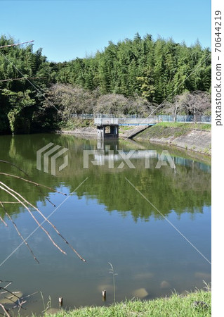 初秋的旭公園紀念碑竹林路 70644219