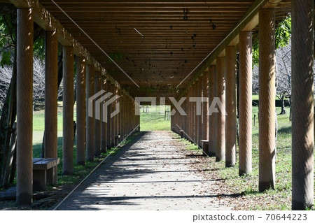 初秋的旭公園紀念碑竹林路 70644223