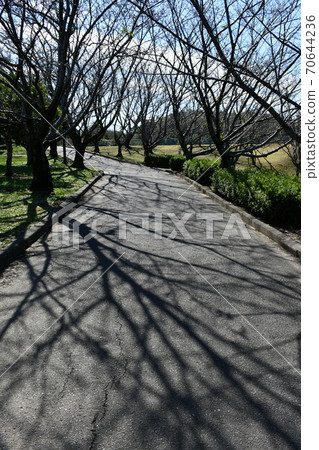 Asahi Park monument in early autumn Bamboo grove road Asahi Park monument in early autumn Bamboo grove road 70644236
