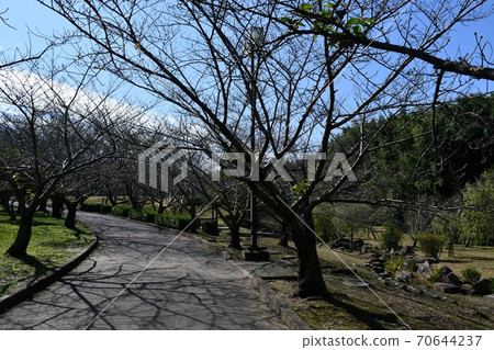 Asahi Park monument in early autumn Bamboo grove road 70644237
