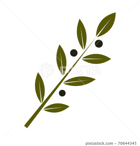 Olive Branch Flat colorful Icon on white... - Stock Illustration ...