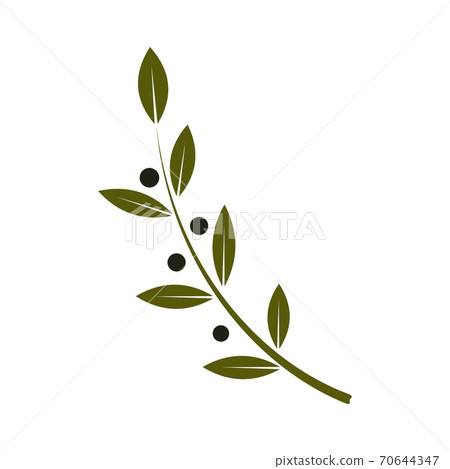 Olive Branch Flat colorful Icon on white... - Stock Illustration ...