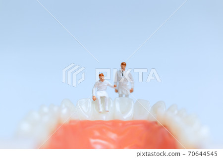 Miniature people : Dentist observing and discussing about human teeth with gums 70644545